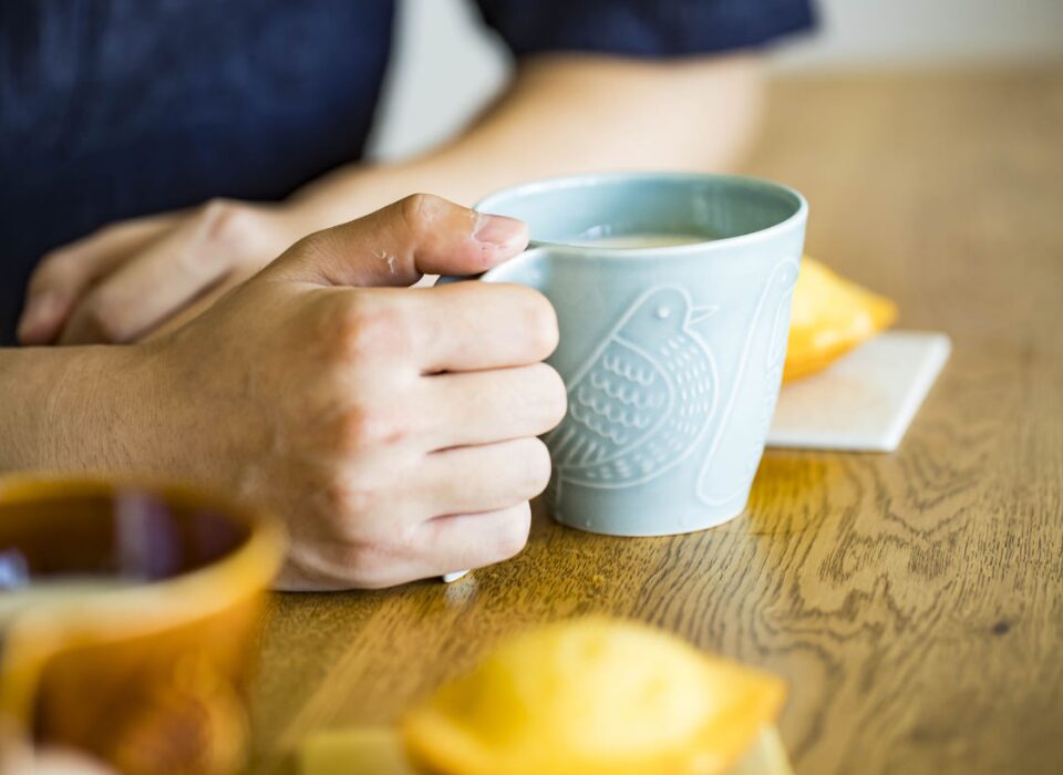 【新作入荷のお知らせ】夏の暮らしを彩る涼やかな器が登場！