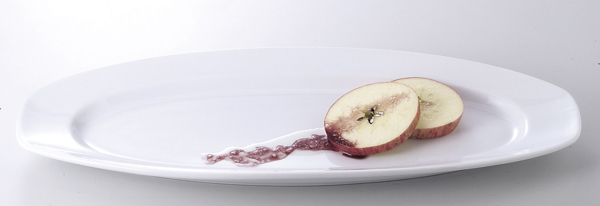 ｼｬｲﾝﾎﾜｲﾄ(中国)ﾊﾟｰﾃｨｰﾌﾟﾚｰﾄ(L)