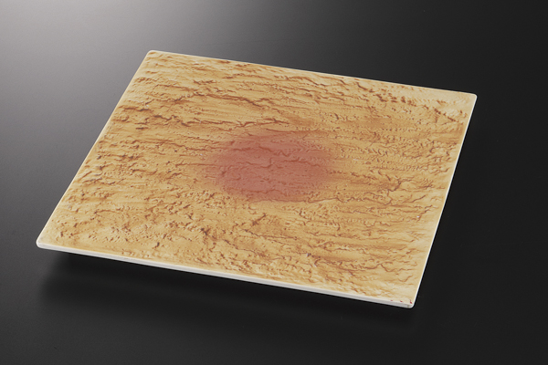 陸 石肌正角皿(小)