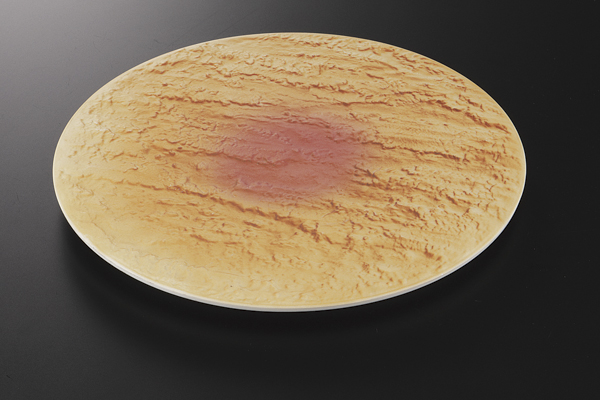 陸 石肌20.5cm丸皿