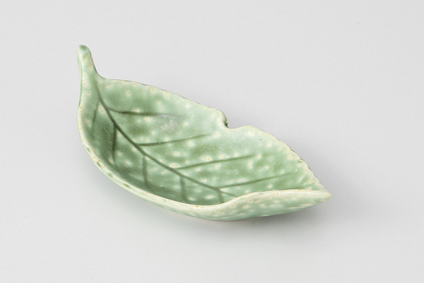 グリーンイラボ 木ノ葉珍味