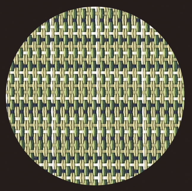 丸ｺｰｽﾀｰ ﾌﾚｯｼｭｸﾞﾘｰﾝ