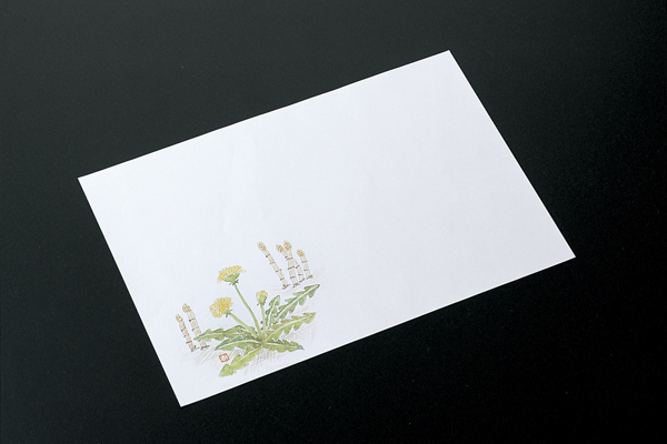 和紙敷紙(小)100枚入 ①たんぽぽ･土筆(2～3