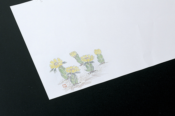 和紙敷紙(小)100枚入 ②福寿草(3～5月)