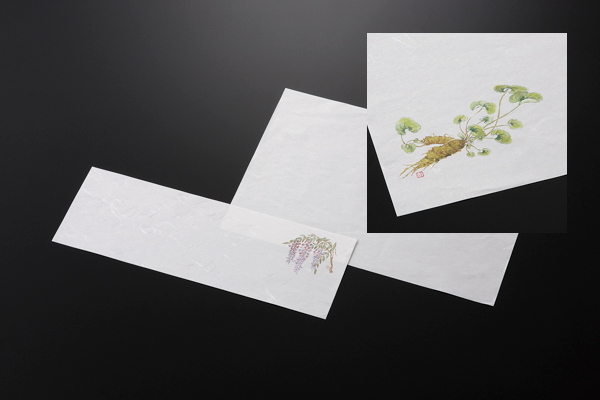 和紙敷紙(小)100枚入 ⑫わさび(5～7月)