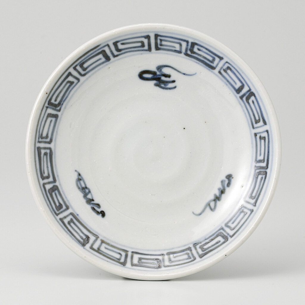翔竜 丸4．5皿