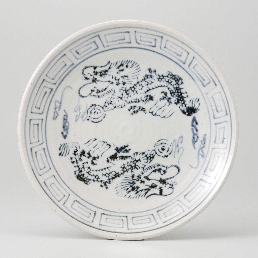 翔竜 丸6．5皿
